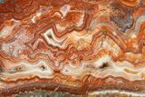 Polished Crazy Lace Agate Slab - Mexico #314737-1